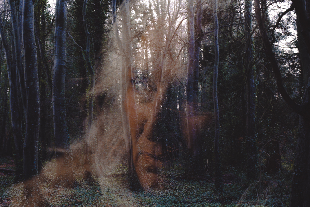 An overlay of Olwen Fouere's character Rita Concannon over a landscape of a forest.